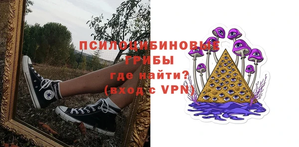 прущий лед Алексеевка