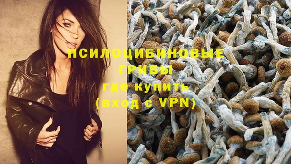 Альфа ПВП Алзамай