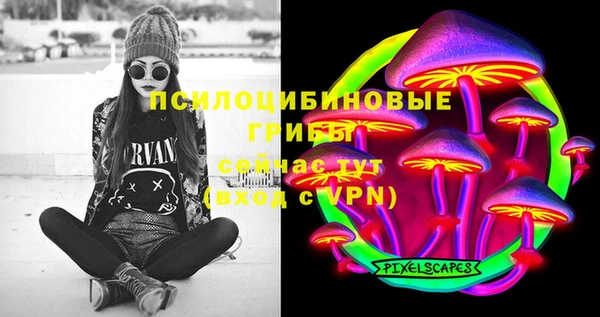 кокс Алексин