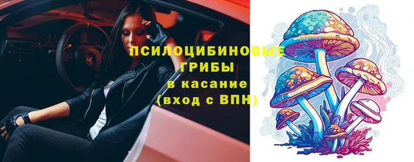 Альфа ПВП Алзамай