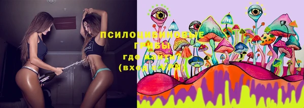 прущий лед Алексеевка