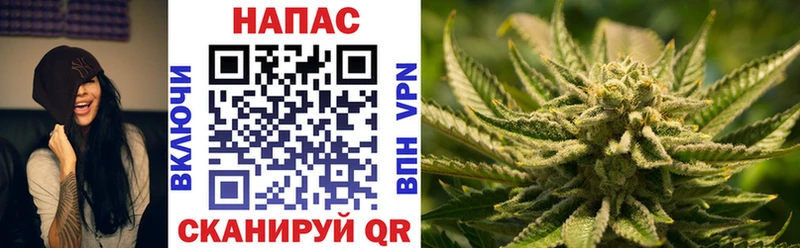 как найти наркотики  Каргат  Шишки марихуана SATIVA & INDICA 